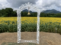 煙山ひまわりパーク画像
