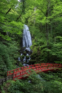 不動の滝画像