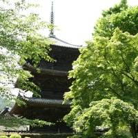 三井寺（園城寺）画像
