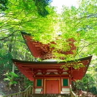 比叡山延暦寺画像