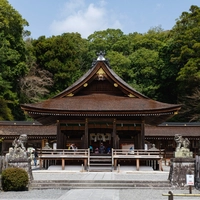 Izumo Grand Shrine画像