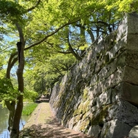 Kameyama Castle Ruins画像