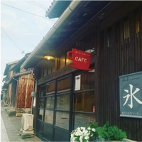 暖木（のんき）画像