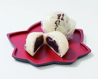 寺本饅頭本舗画像