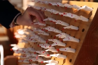 Iwakuni White Snake Shrine画像