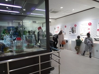 岩国シロヘビの館画像