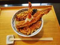 魯山画像