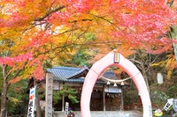 桃太郎神社画像