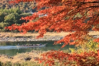 桃太郎紅葉船画像