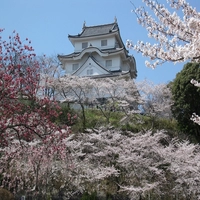 千葉県立中央博物館大多喜城分館画像
