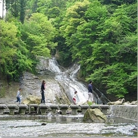 粟又の滝画像