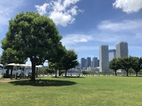 豊洲ぐるりパーク画像