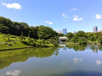 清澄庭園画像