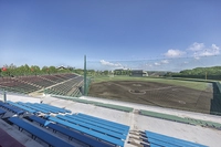 八橋運動公園硬式野球場（さきがけ八橋球場）画像