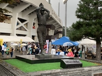 花咲スポーツ公園施設硬式野球場（スタルヒン球場）画像