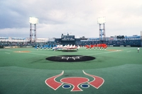 藤井寺球場跡画像