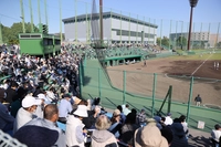 高知市野球場画像