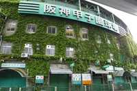 阪神甲子園球場画像