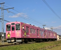 【一畑電車】ご縁電車しまねっこ号Ⅱ（ピンク色のラッピング列車の車内）画像