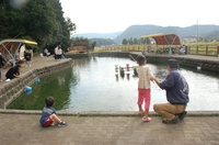 [Mine City] Mine City Trout Farm Fishing Pond画像