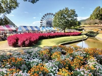 [Yanai City] Yamaguchi Flower Land画像